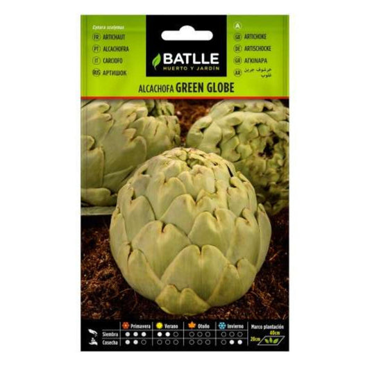 Green Globe Artichoke Seeds Batlle