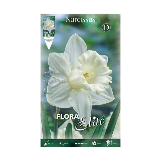 Bulbi di narciso tromba bianco puro 5 pz