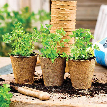 Ronde vezelplanter voor zaaibedden Planeta Huerto 24 eenheden