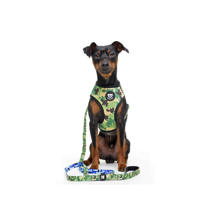 Imbracatura reversibile per cani CAMO Dukier M