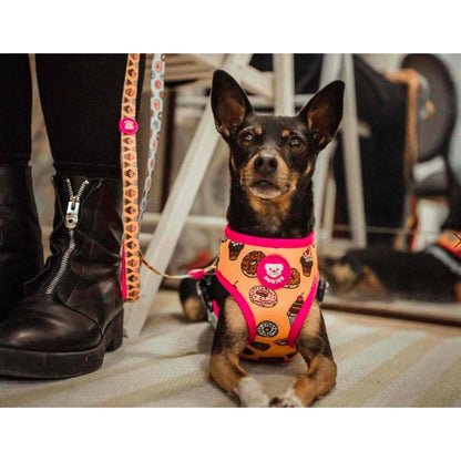 Harnais réversible pour chien CUPCAKES Dukier L