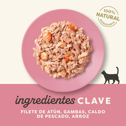 Applaws Cat Latta Tonno e gamberetti 70 g Cibo umido per gatti naturale senza cereali