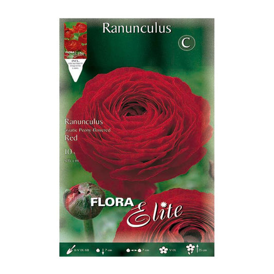 Bulbi Ranuncolo rosso 10 pz