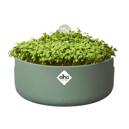 Keimgerät Magic Microgreens Elho Verde