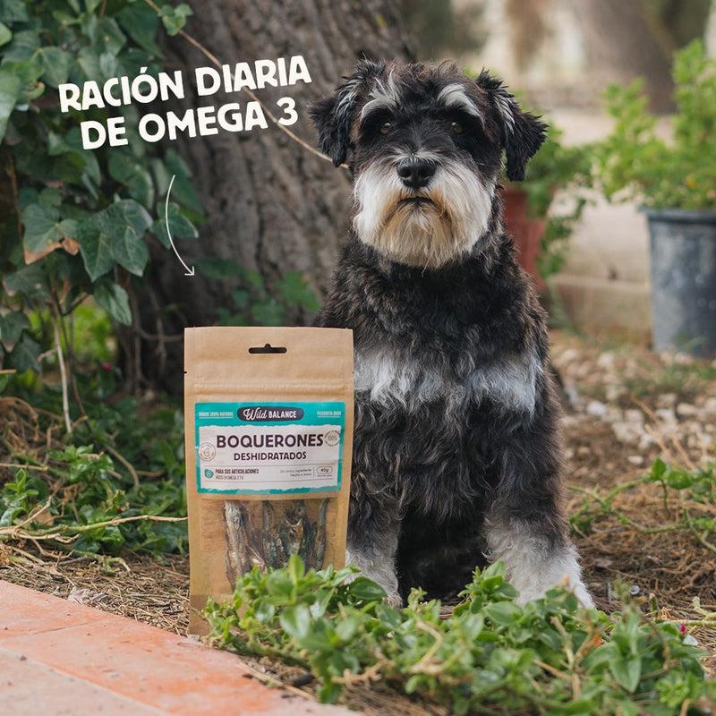 Snack naturel Anchois déshydratés Wild Balance 40 g