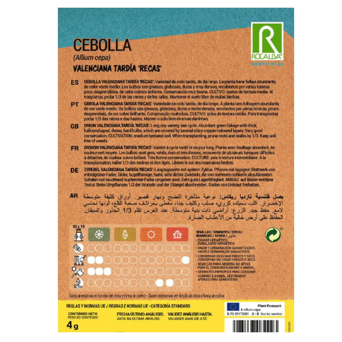 Frön av sen valenciansk lök på remsa, Rocalba