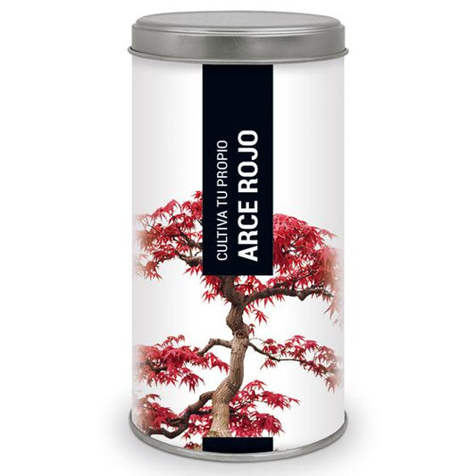 Gift Kit to Grow Your Red Maple at Home, Garden Pocket