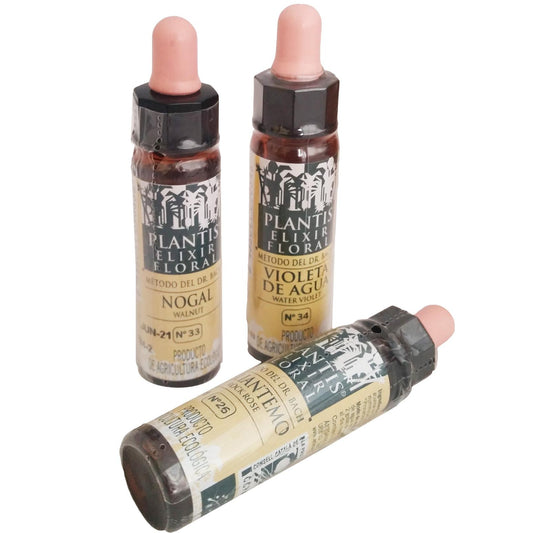 Plantis 38 Saule 10 ml Eco Artesania