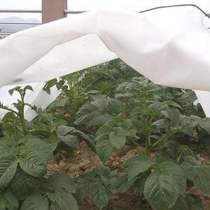 Tunel do uprawy roślin odporny na mróz 3 m Biotop