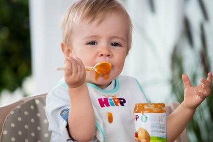 Jar of mixed fruit with organic cereals +6 months HiPP 190 g