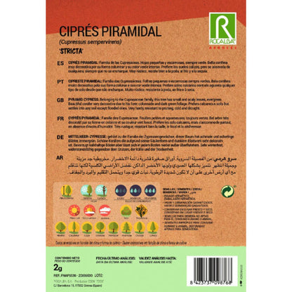 Pyramidalis cypress seeds Evergreen cypress trees