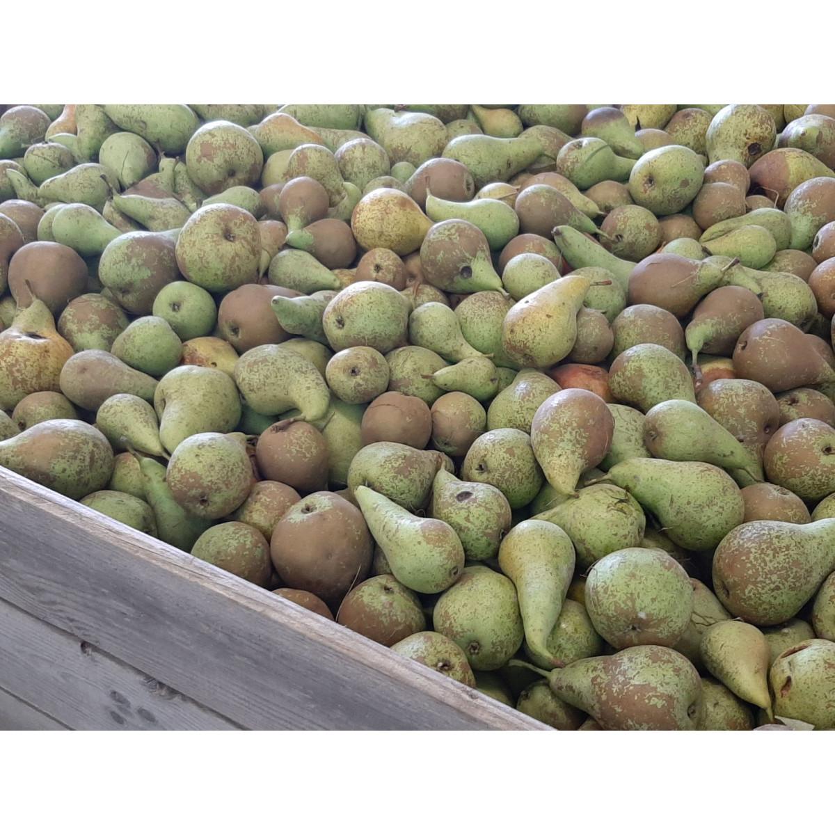 Élaboré à partir de poires et de pommes biologiques sans sucres ajoutés Ékolo 700 g