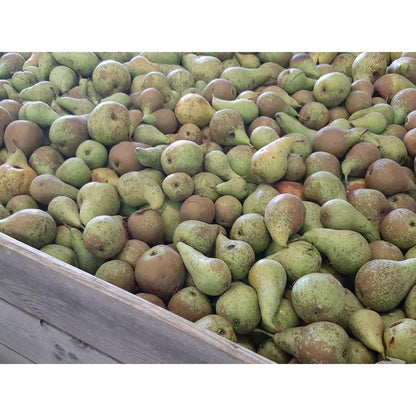 Élaboré à partir de poires et de pommes biologiques sans sucres ajoutés Ékolo 700 g