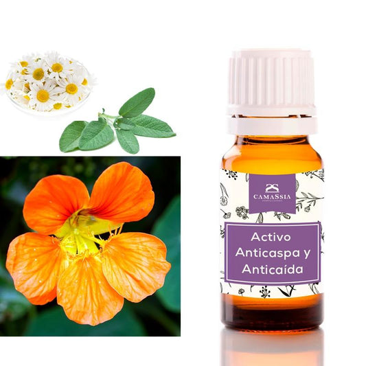 Actif antipelliculaire et fortifiant capillaire Camassia 10 ml