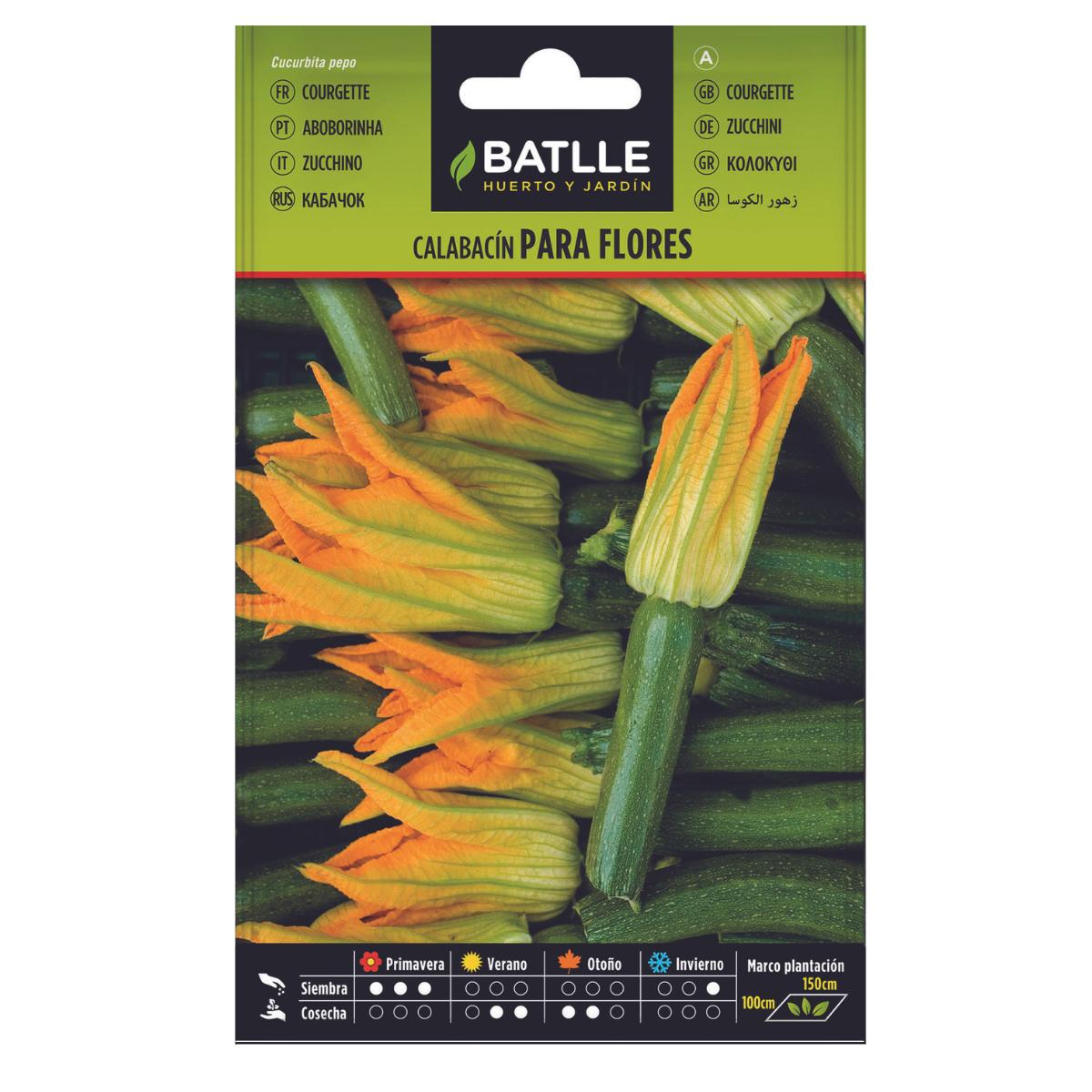 Graines de courgettes à fleurs Batlle