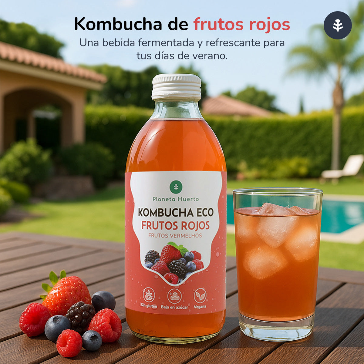 Pack 12x Kombucha ECO Frutos rojos Planeta Huerto 330 ml