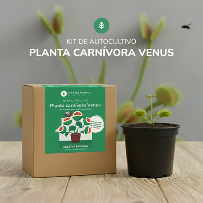 Självodlingssats Venus flytrap köttätande växt Garden planet