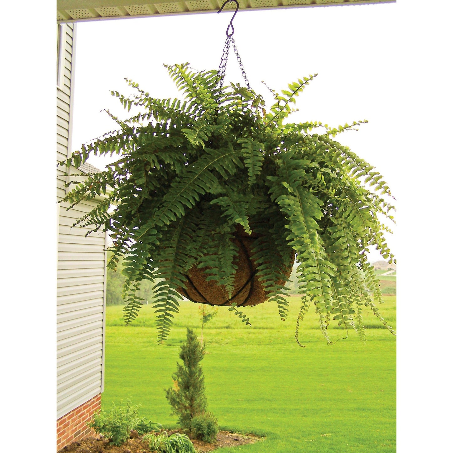 Round hanging basket Ø25 cm