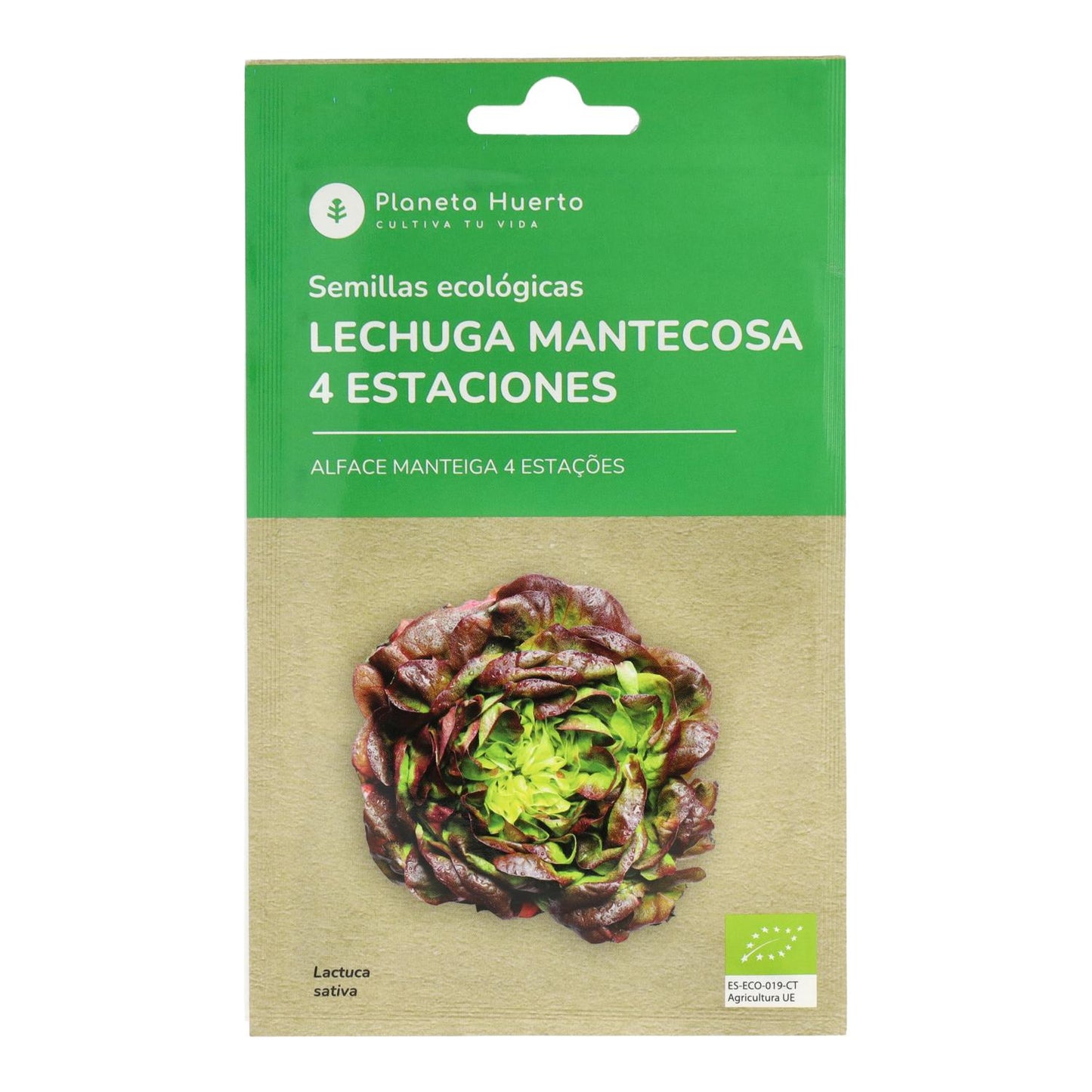 Organic Butter Lettuce Seeds 4 seasons Planet Vegetable Garden