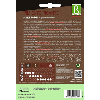 Graines de piment fort Scotch Bonnet Rocalba