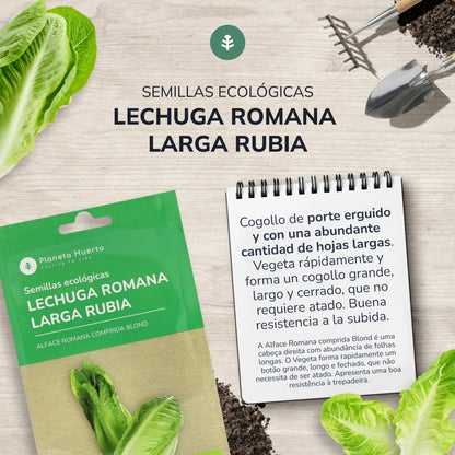 Semillas de Lechuga Romana ecológicas Planeta Huerto
