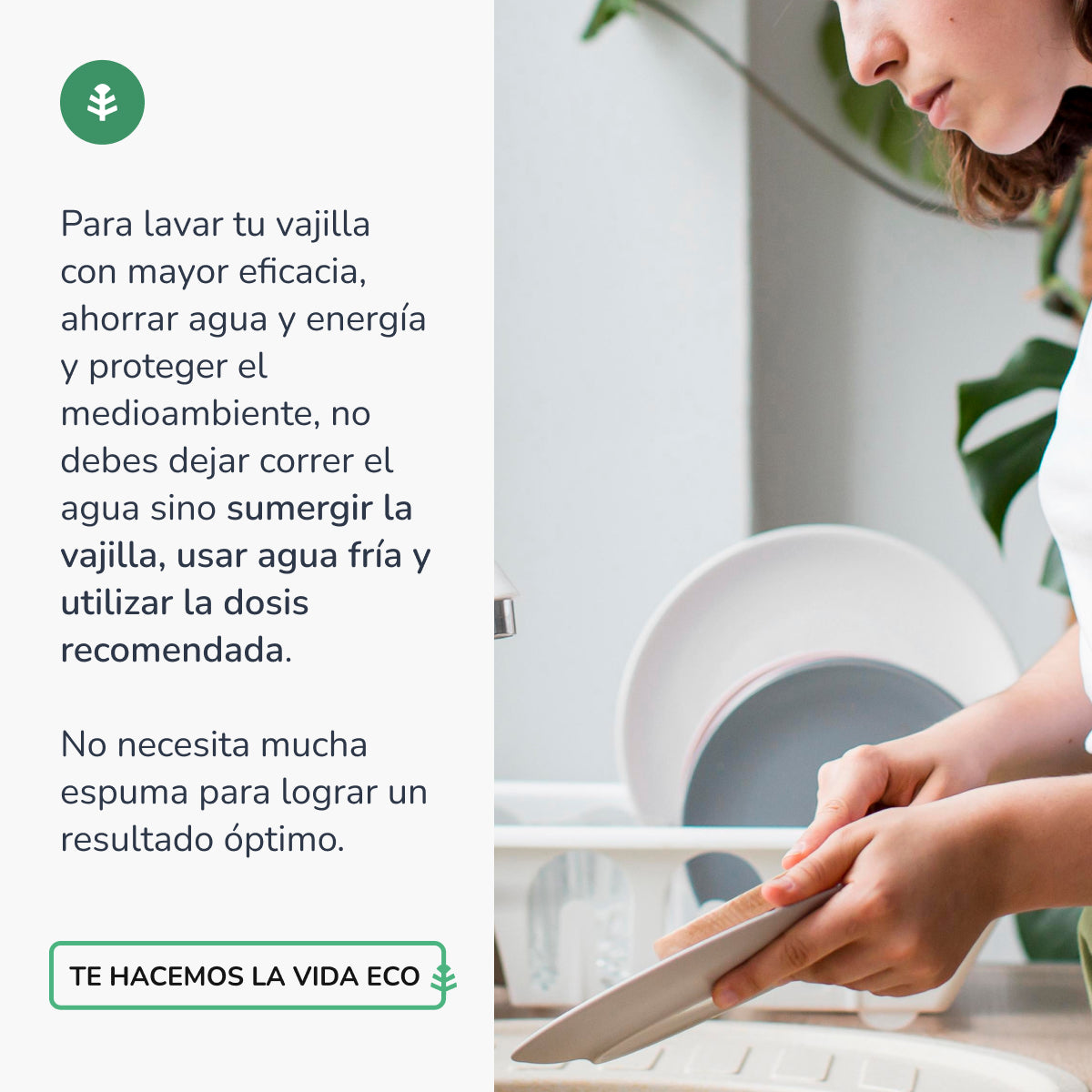 Lavavajillas Manual Té Verde ECO  Planeta Huerto 750ml
