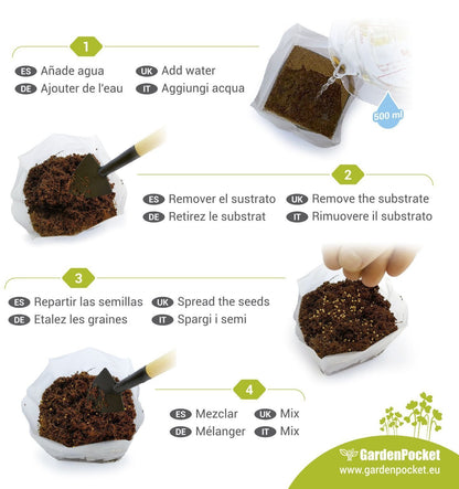 Mikrogrönsaker POP Mix