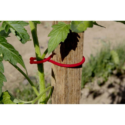 Tomatenpflanzenbinder Tomatoclip Nortene 25 Stück