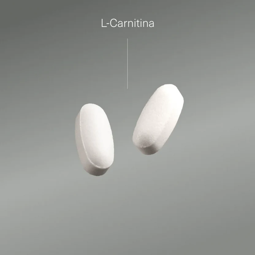 L Carnitin 2000 mg Aldous Bio 200 Tabletten