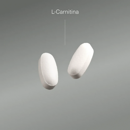 L Carnitin 2000 mg Aldous Bio 200 Tabletten