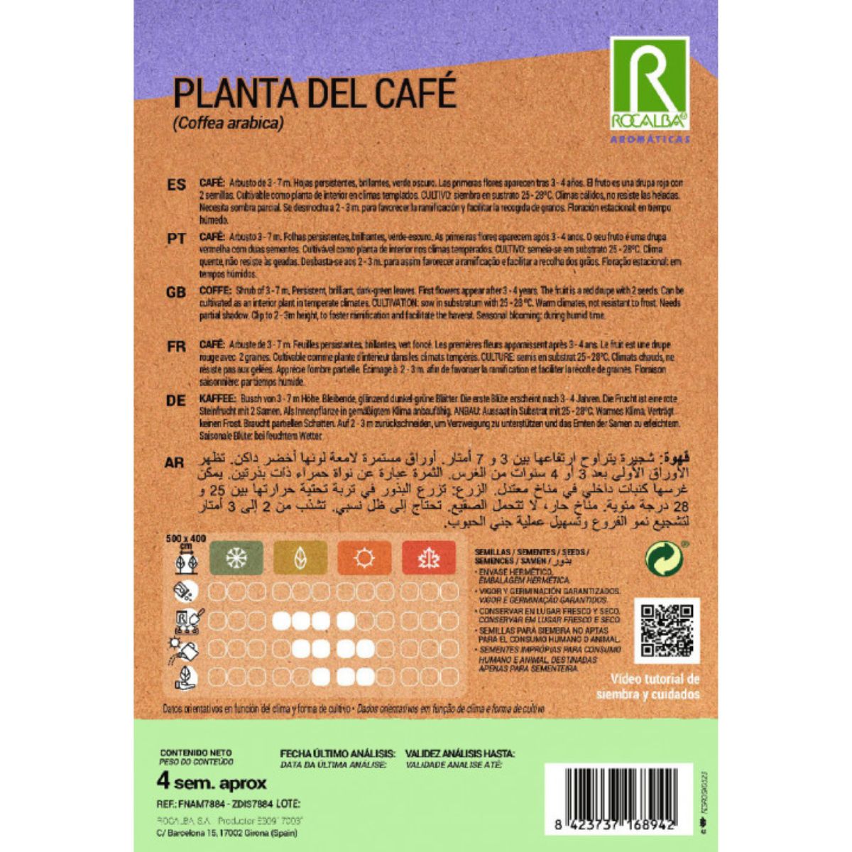 Coffee plant seeds