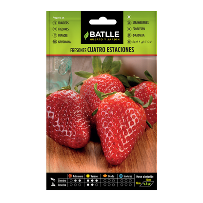 Semi di fragole 4 stagioni Batlle