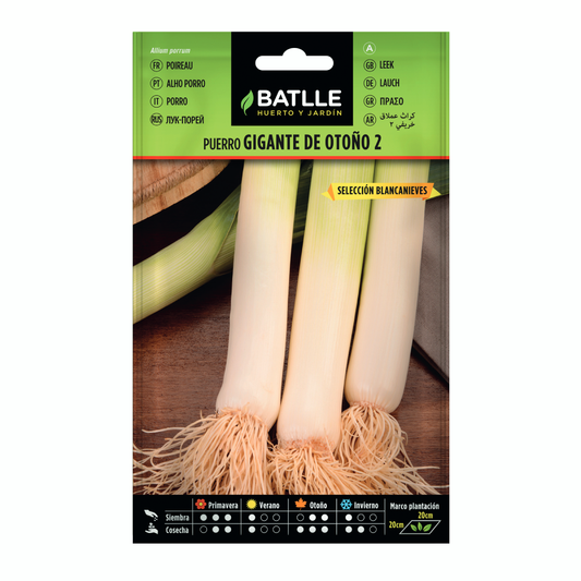 Semi di porro gigante autunnale 2 sel. Blancanieves Batlle