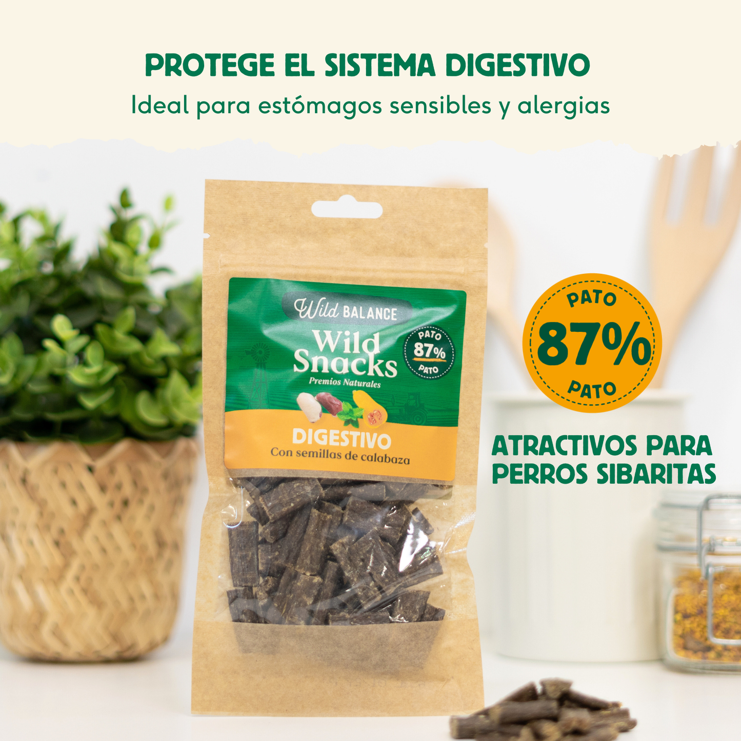 Wild Snacks Digestif Graines de courge Wild Balance