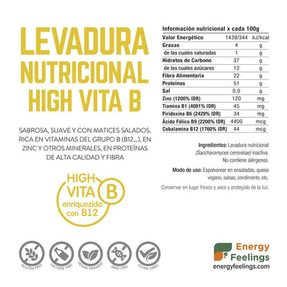 Pack 2x Levure nutritionnelle vitamine B12 en flocons Energy Feelings 250 g