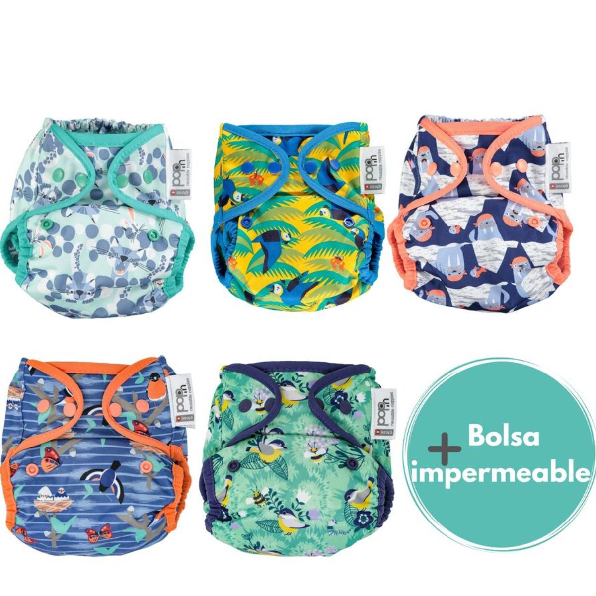 Zestaw 5 zatrzasków Pop-in