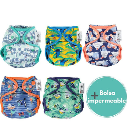 Zestaw 5 zatrzasków Pop-in