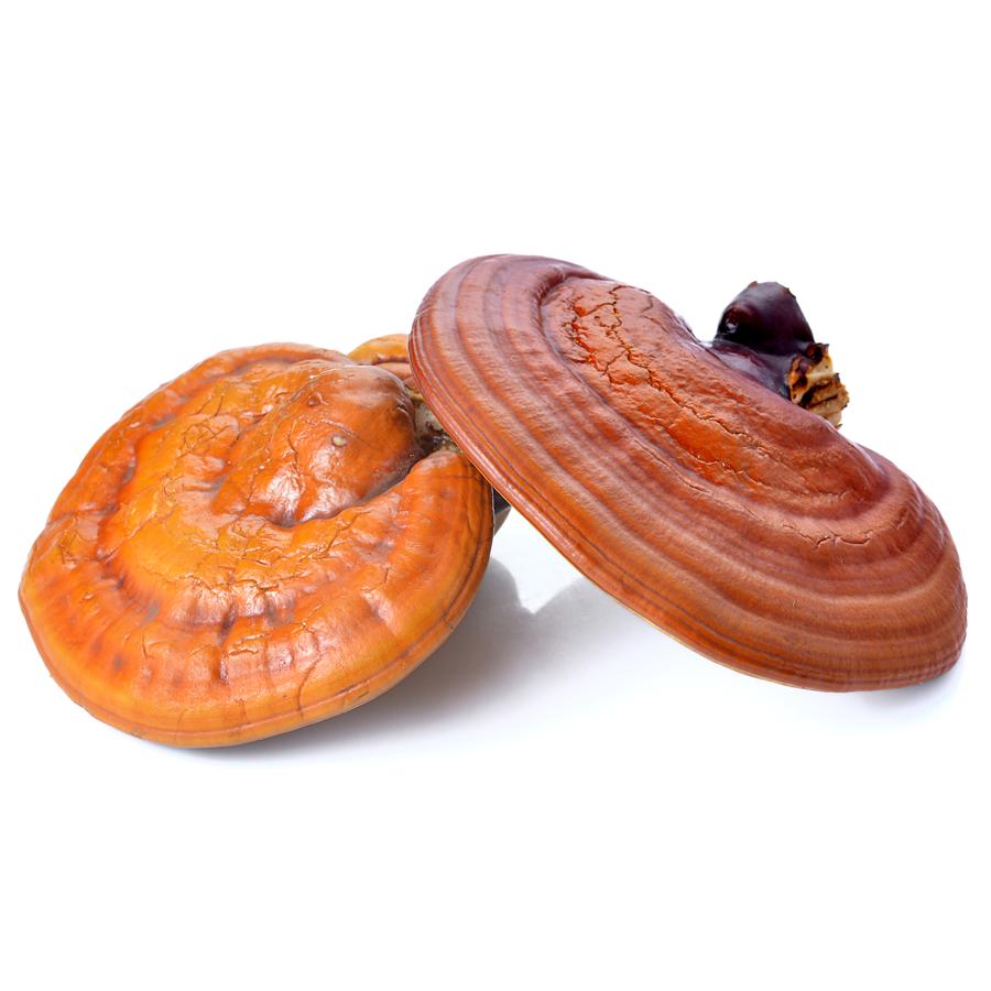 Reishi El Granero 60 kapsułek, 530 mg