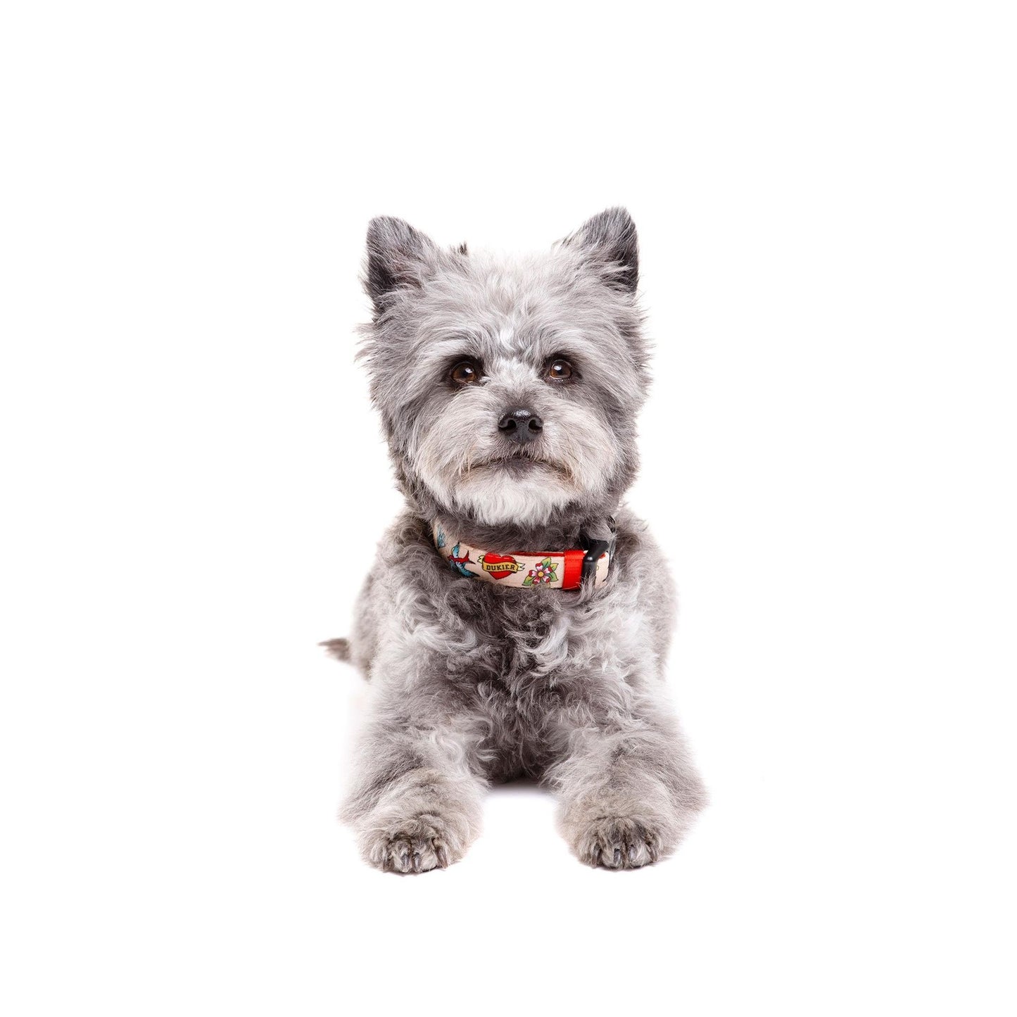 Hondenhalsband Tattoo Dukier L