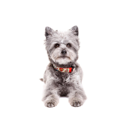 Hondenhalsband Tattoo Dukier L