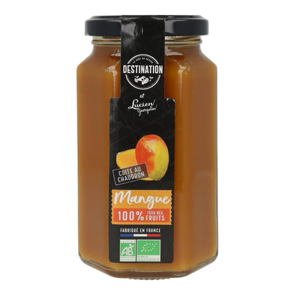 Marmellata di mango BIO Destination 300 g