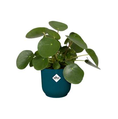 Blomkruka Vibes Fold Round Deep Blue Elho 22 cm