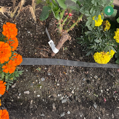 Rouleau d'exsudation Agro Planeta Huerto 25 m