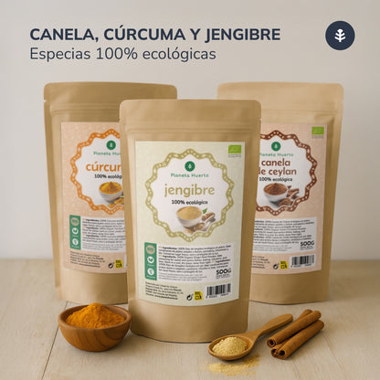 Curcuma en poudre ECO Planeta Huerto 500 g