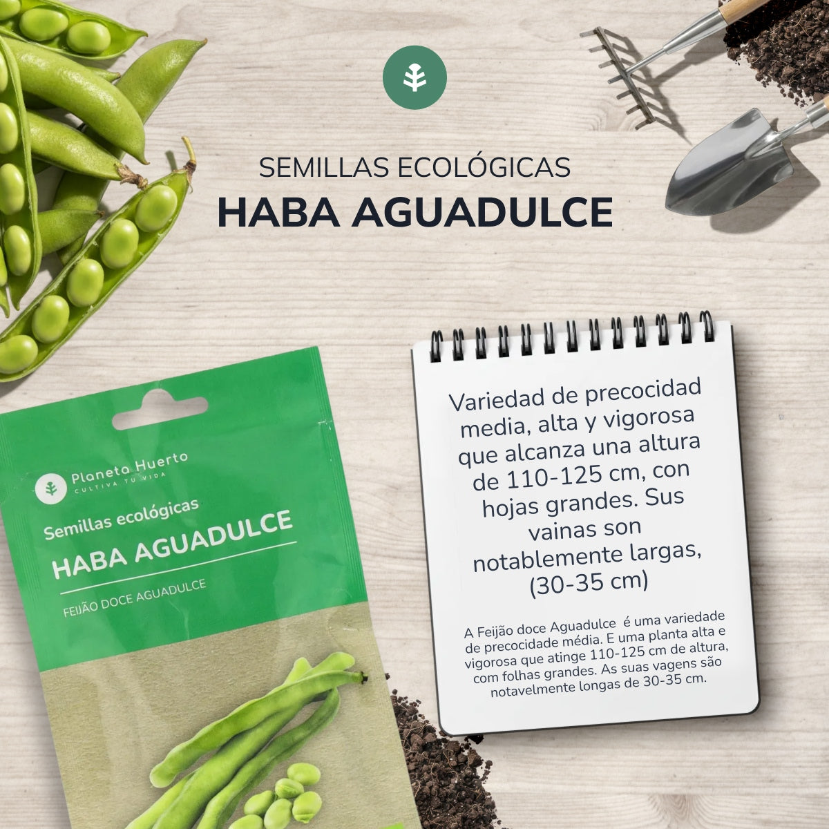 Graines de haricots bio Aguadulce Planeta Huerto