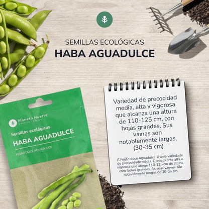 Graines de haricots bio Aguadulce Planeta Huerto