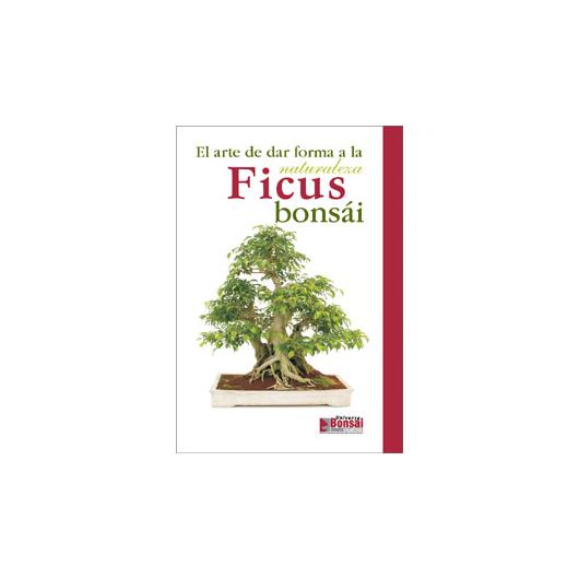 Ficus-Bonsai-Ratgeber