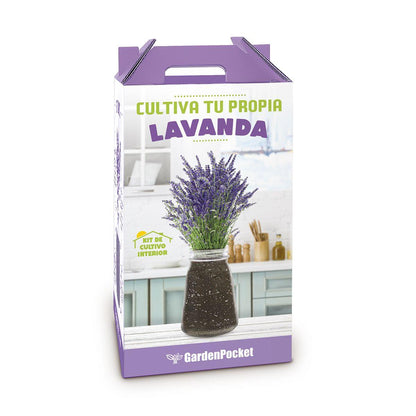 Kit pour cultiver votre propre lavande à l'intérieur, Garden Pocket