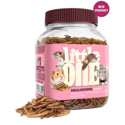 Little One Snack Mealworms 70 g
