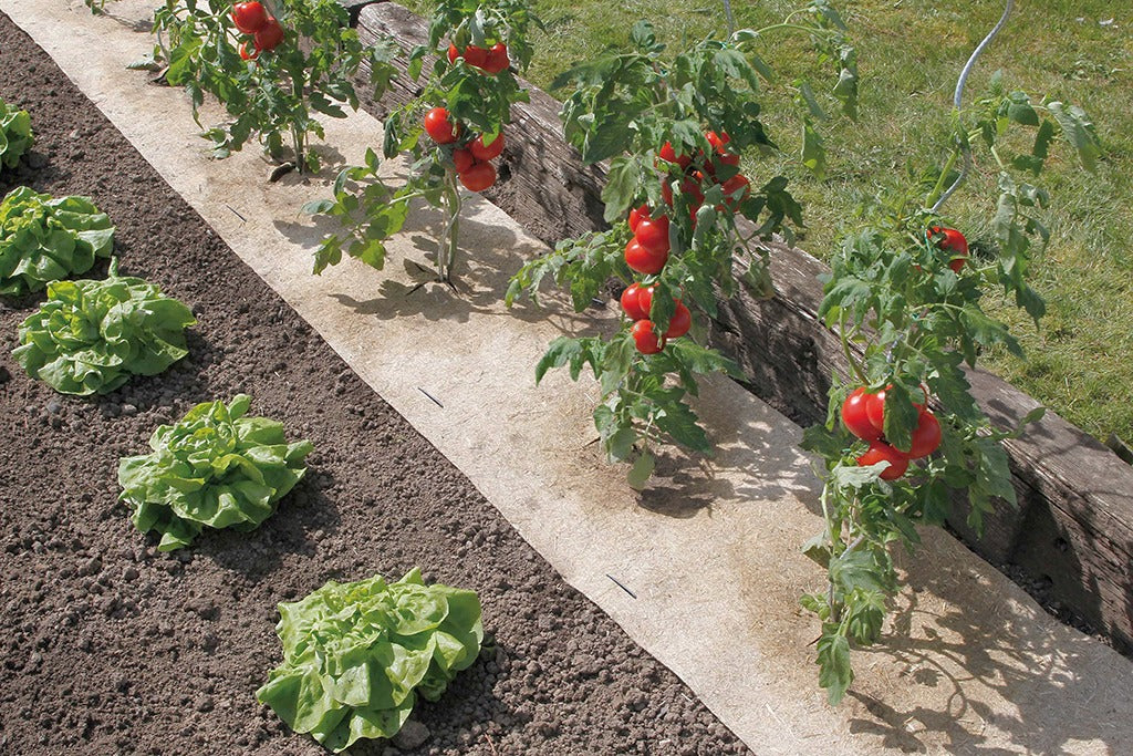 Natürliches Unkrautvlies Flaxhemp Nortene 0,5 x 3 m